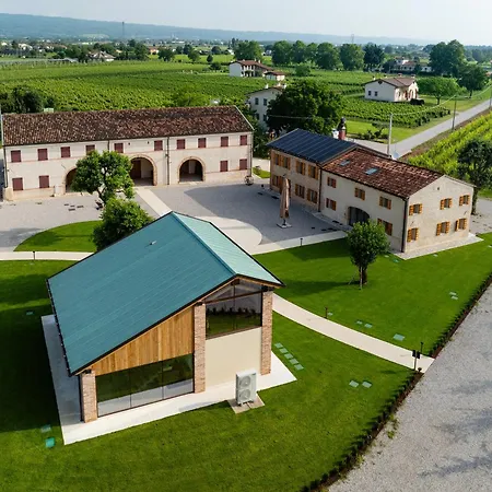 Borgo Paolin - In Vigna *